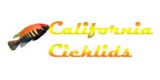 California Cichlids