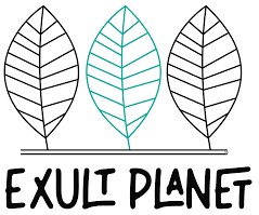 Exult Planet