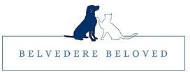 Belvedere Beloved