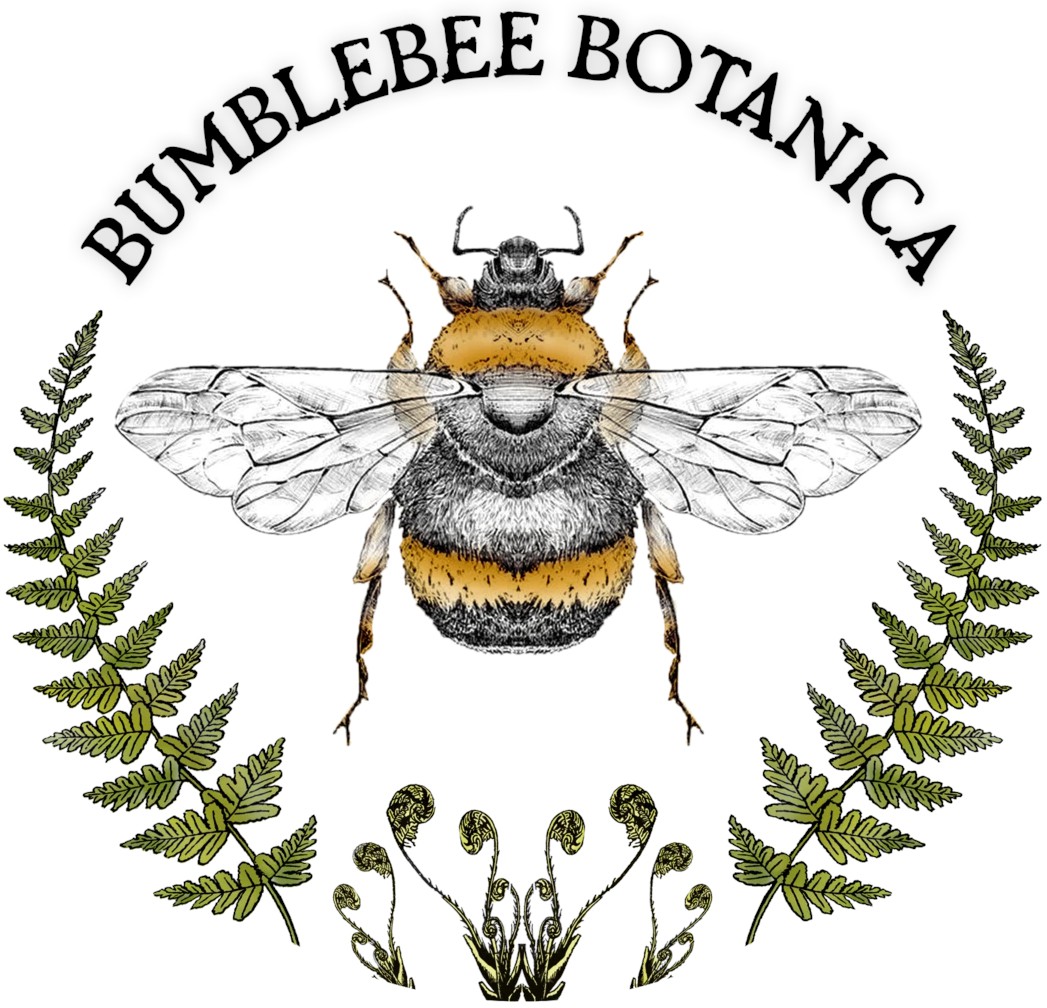 Bumblebee Botanica