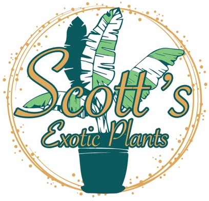 Scott Exotic Plants