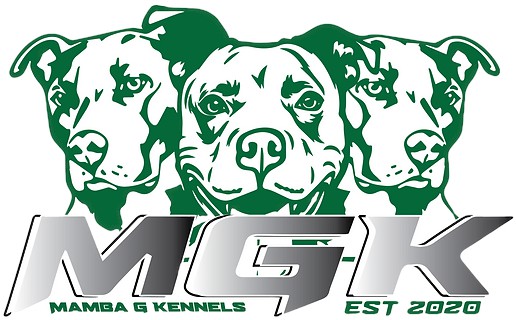 Mamba G Kennels