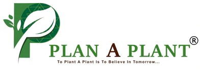 Plan A Plant