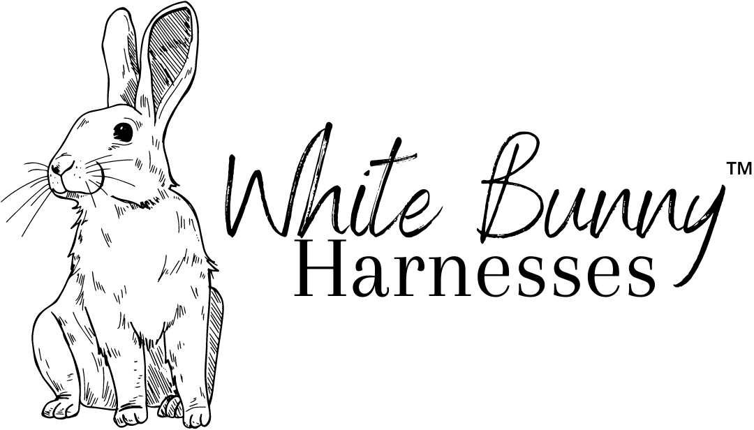 White Bunny Harnesses