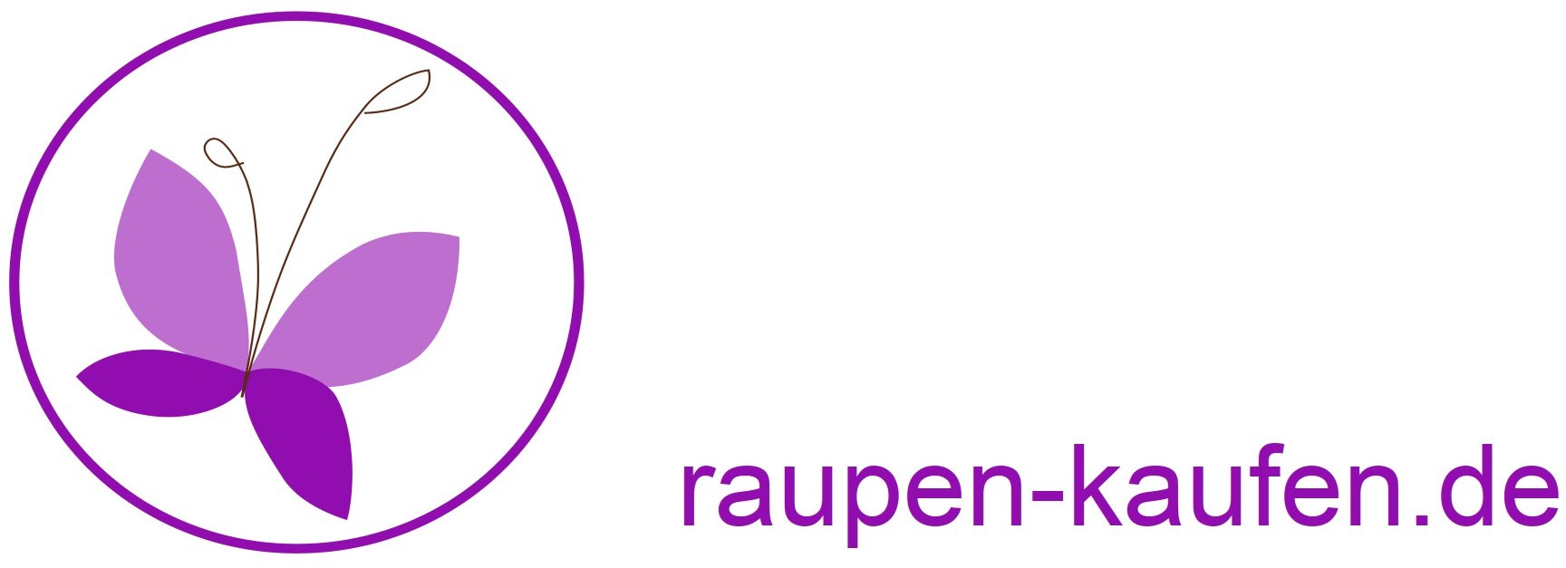 Raupen Kaufen