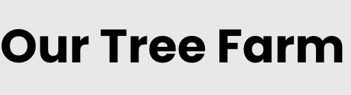 Our Tree Farm Mosinee