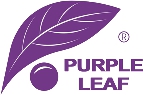purpleleafshop.fr