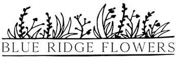 Blue Ridge Flowers