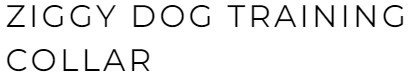 Ziggy Dog Training Collar