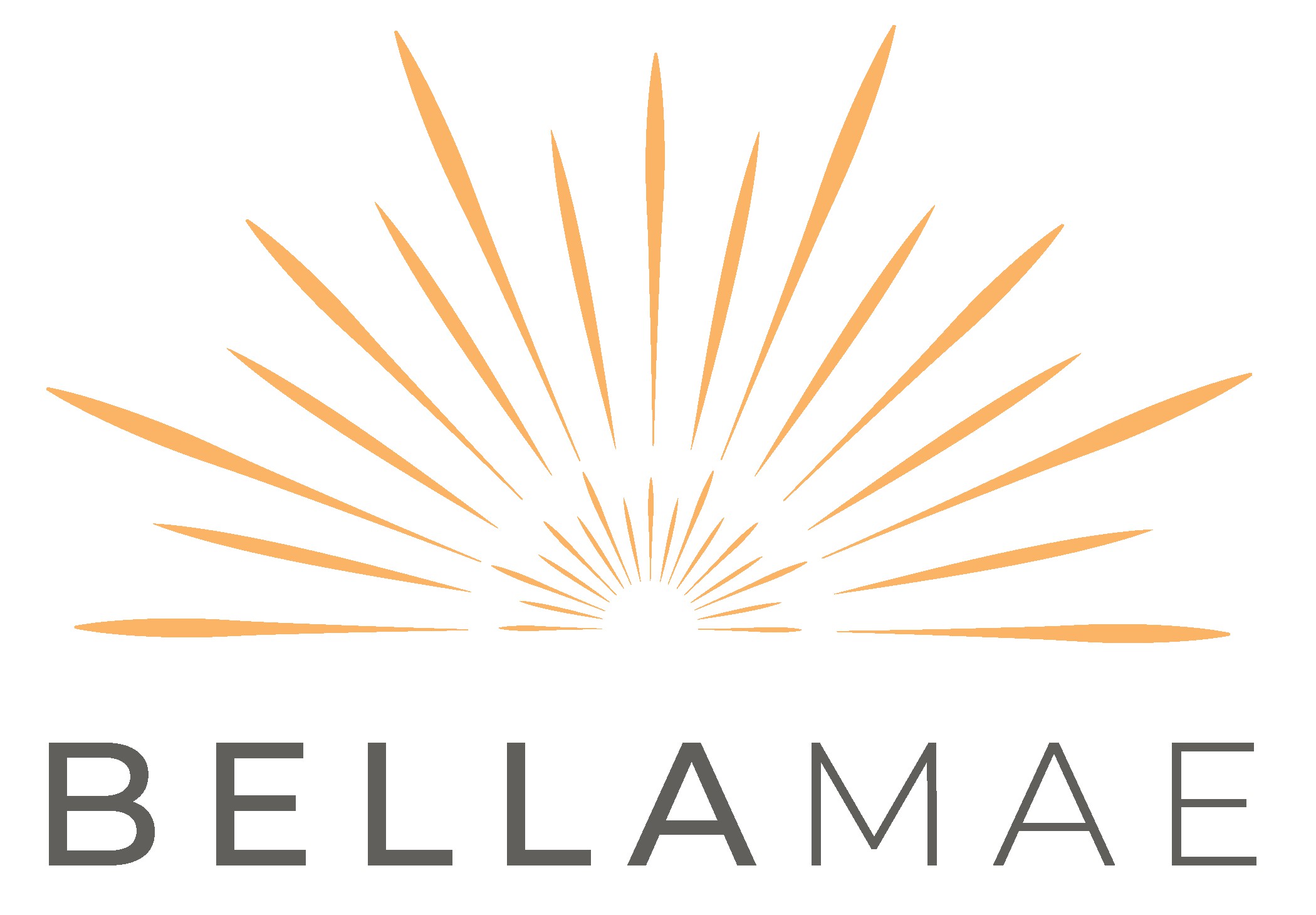 Liz Axelrod Wellness DBA BELLAMAE