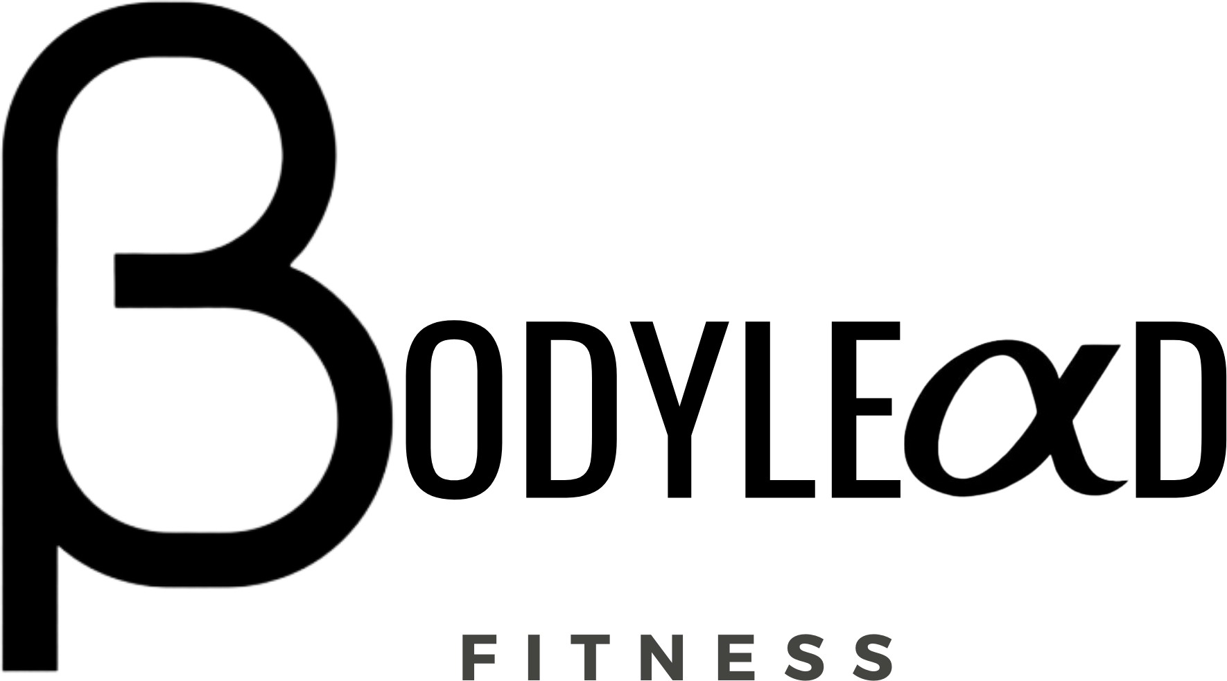 BodyLead