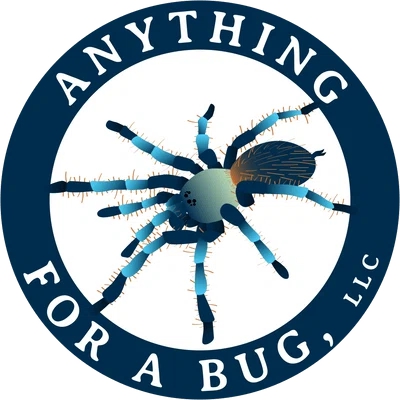 Anything For A Bug