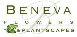 Beneva Flowers