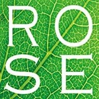 Natural Fragrance Rose