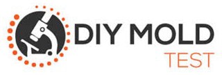Diy Mold Test