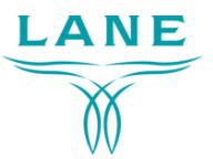 Lane Boots