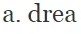 a. drea