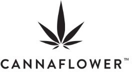 Canna Flower