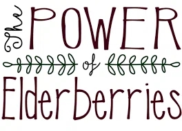 The Power of Elderberries