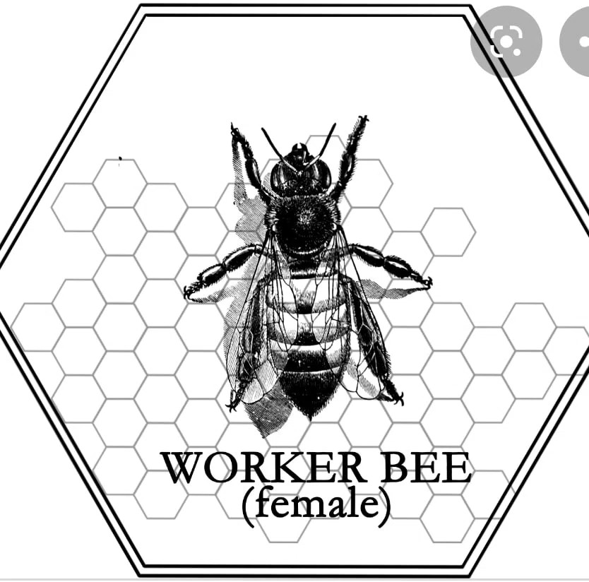 Worker Bee Candle Company
