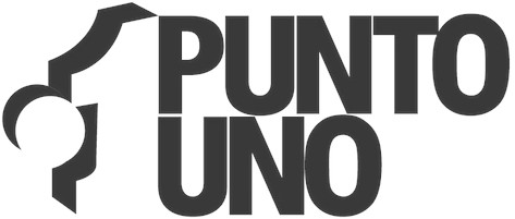 Punto Uno