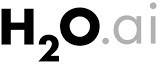 H2o Ai