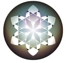 guardianalliance.academy