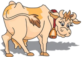 Mr. Dairy and Food Distributing Ltd.