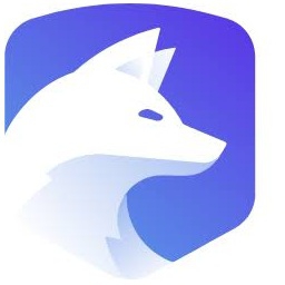 IceVPN