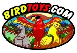 Bird Toys