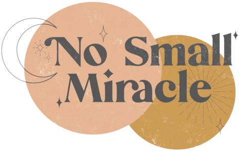 No Small Miracle Childrens Boutique
