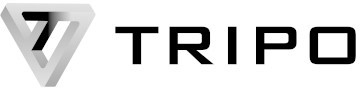 Tripo AI