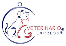 Veterinario-Express