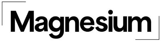 Magnesium Studios