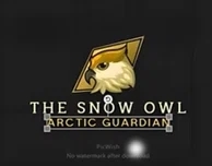 The Snow Owls