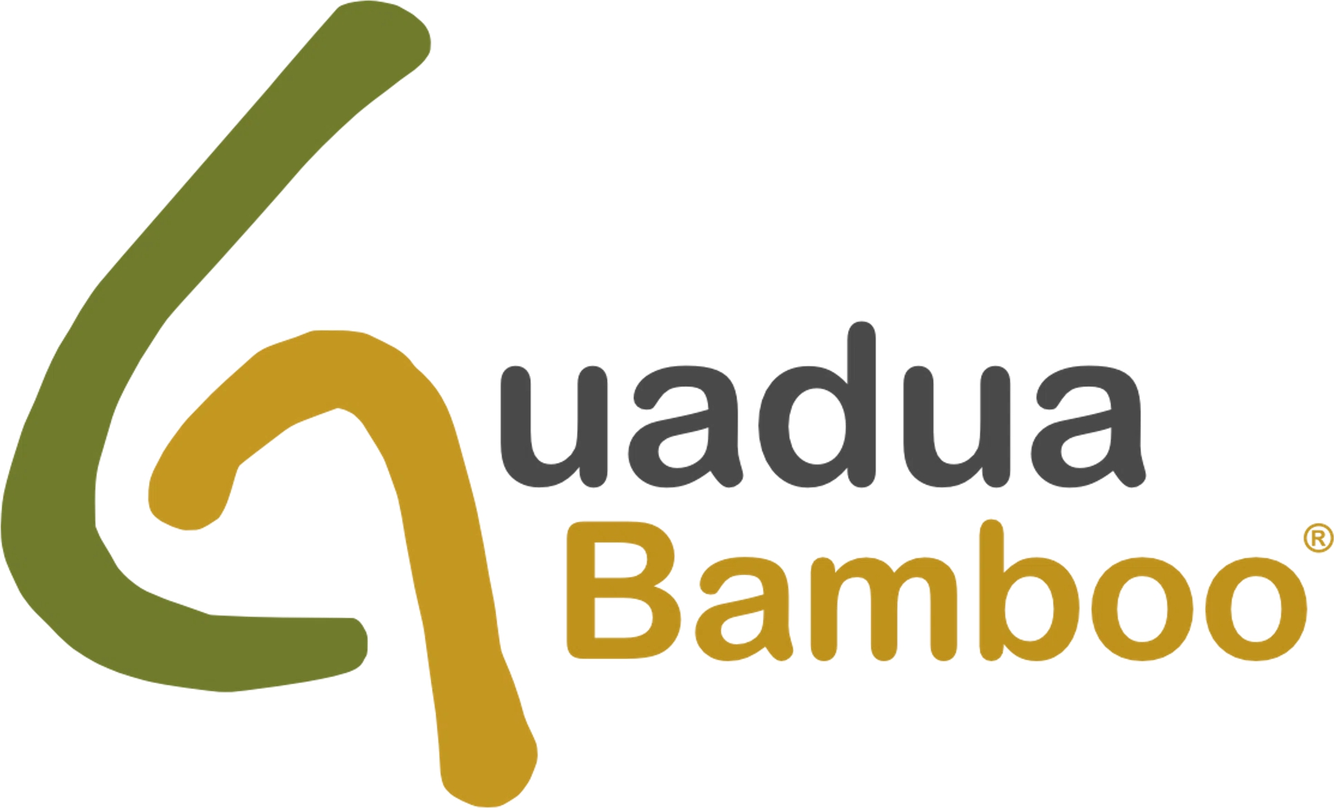 Guadua Bamboo
