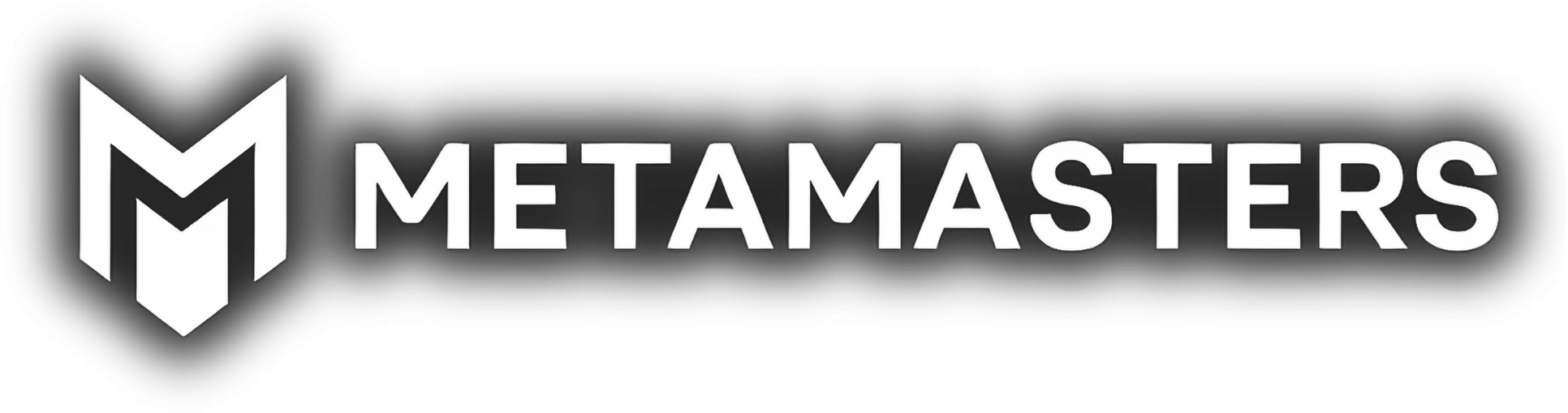 MetaMasters