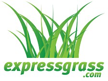 Express Grass