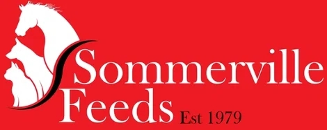 Sommerville Feeds