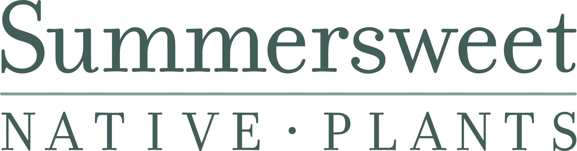 Summersweet Native Plants
