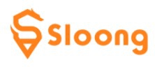 Sloong World