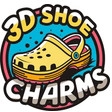 3 D Shoe Charms