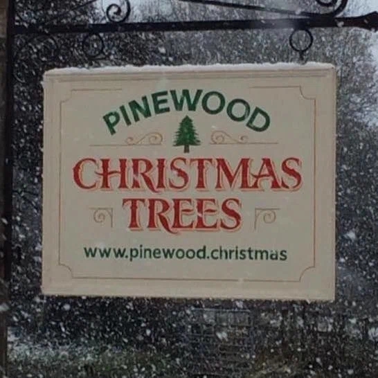 Pinewood Christmas