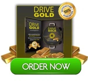 Drive Gold Team