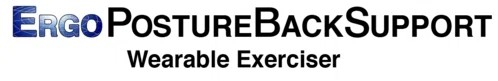 Ergo Back Support