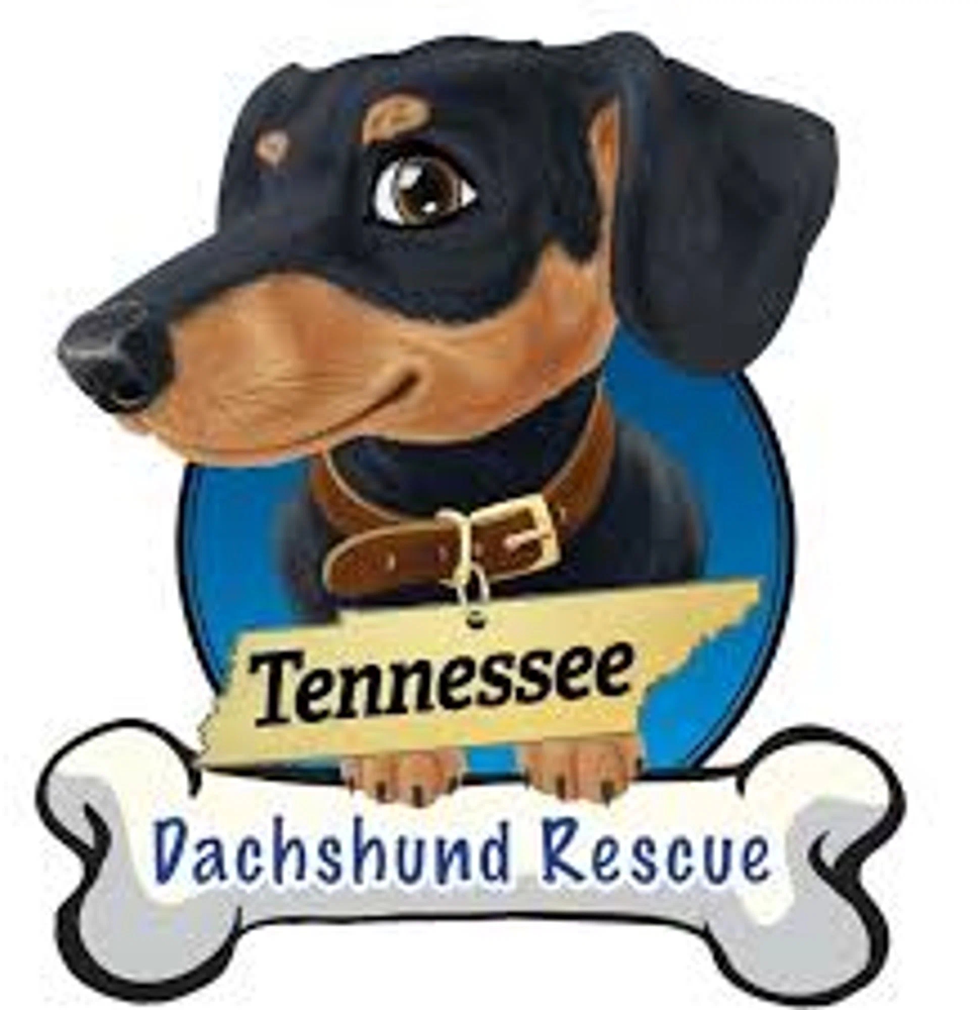 Tennessee Dachshund Rescue