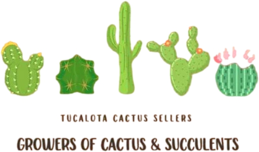 Tucalota Cactus Growers