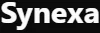 Synexa AI