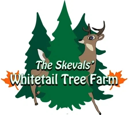 Whitetail Tree Farm