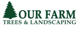 Our Farm Christmas Trees